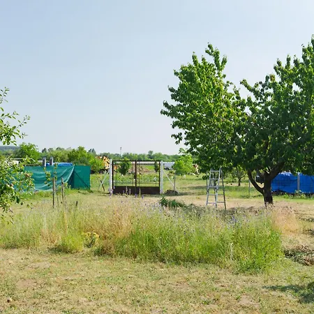 Goggola By Interhome